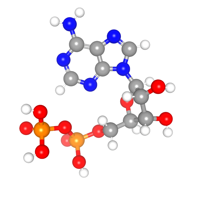 Molecules in Chromatography